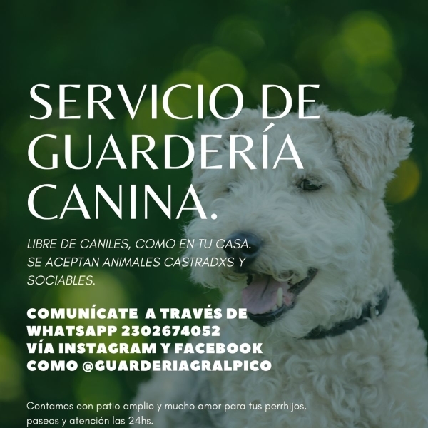 Guardería Canina