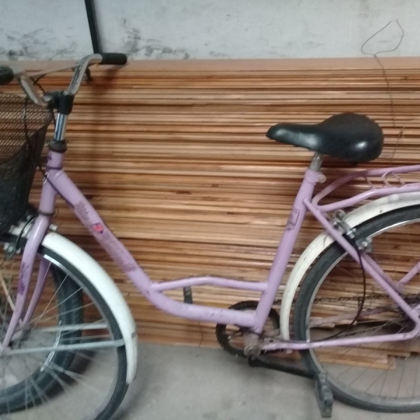 Vendo bicicleta de dama