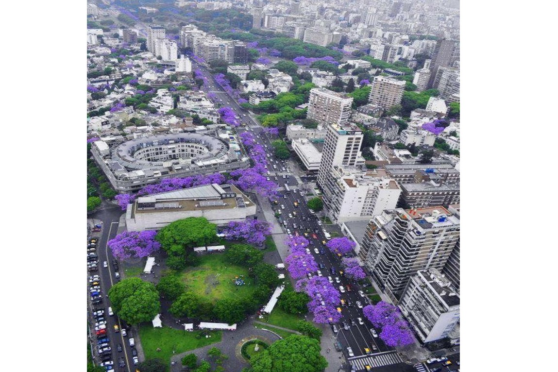 Buenos Aires Shemales