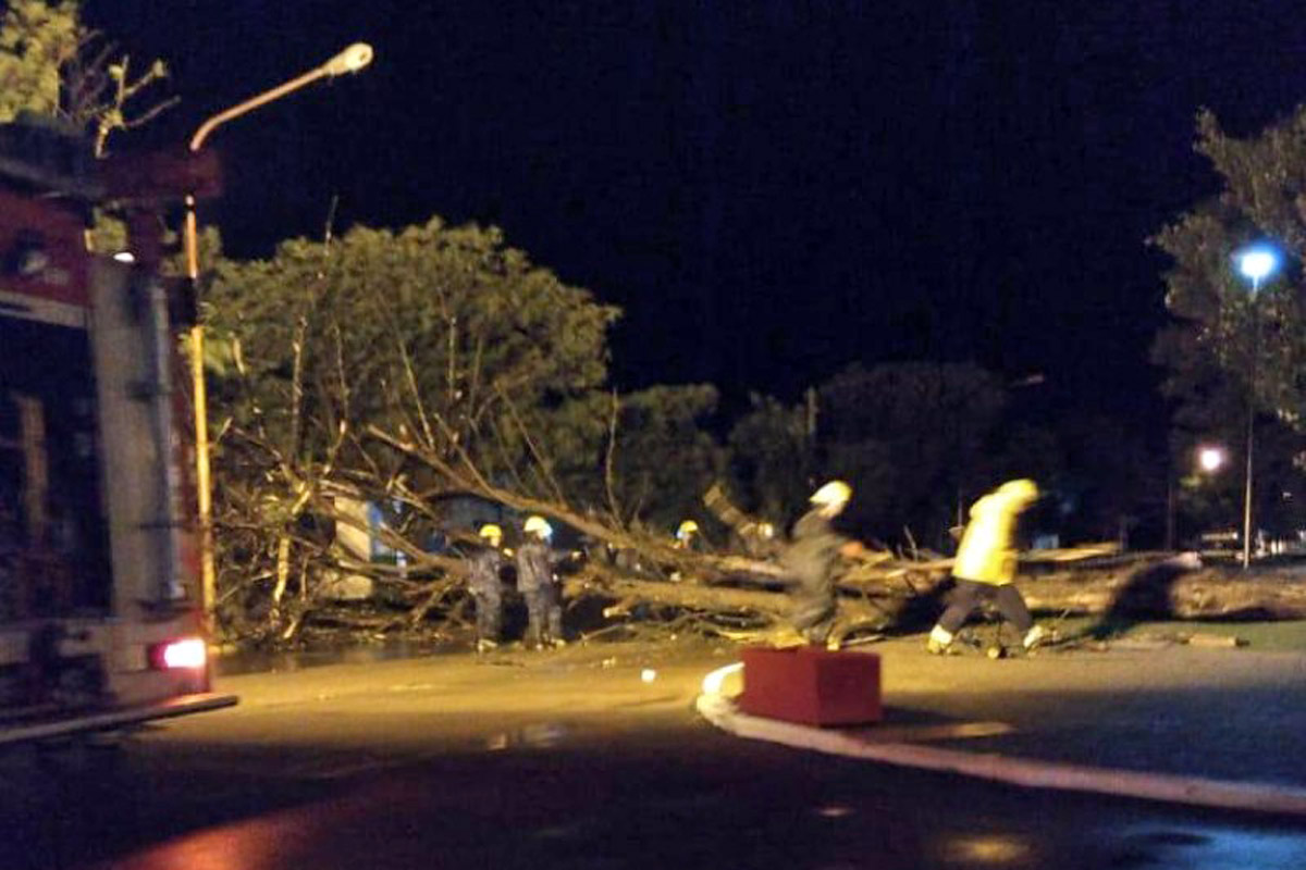 Foto gentileza El Norte en Movimiento Foto gentileza El Norte en Movimiento