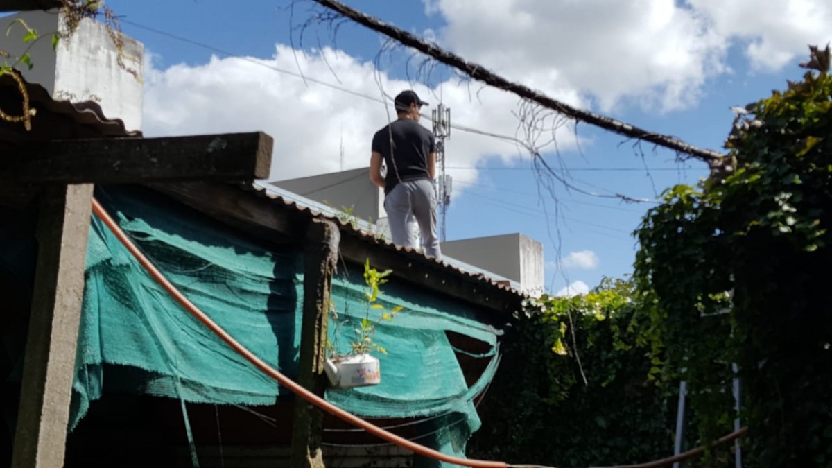 Personal de toxicoman&iacute;a revisando los techos