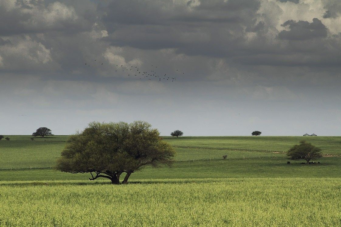 ¿Por qué La Pampa es una de las provincias con mejor