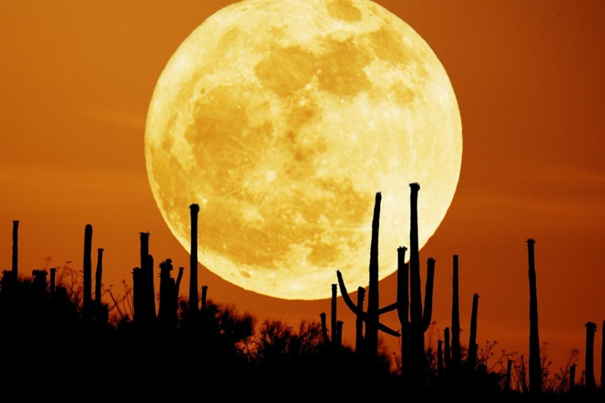 “Luna de la cosecha” Hoy se producirá un fenómeno astronómico que no