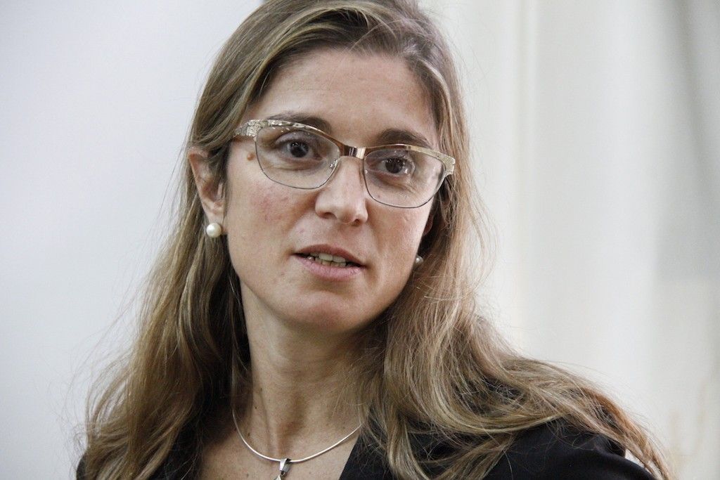 La fiscal que investig&oacute; el hecho, la doctora Ana Laura Ruffini