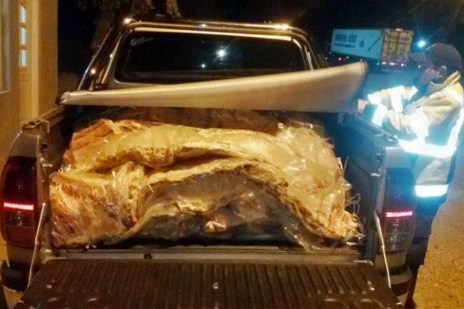 La carne incautada (foto gentileza La Ma&ntilde;ana de Neuqu&eacute;n)