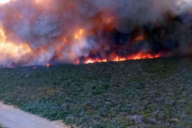 El fuego quemó 360.000 hectáreas en La Pampa - InfoPico.com