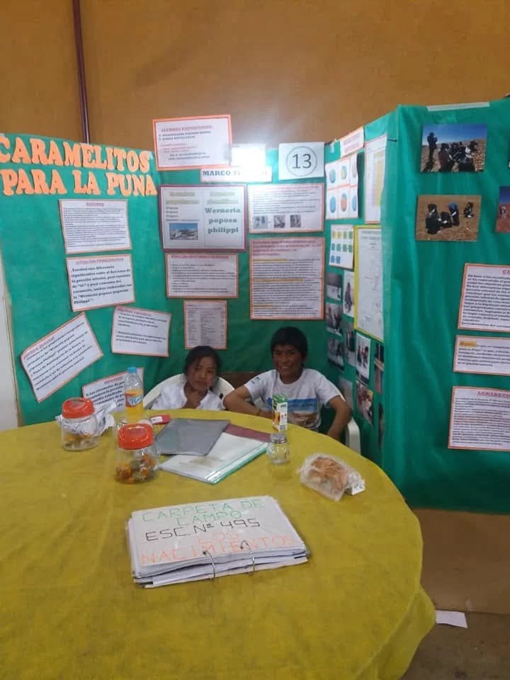 Alumnos catamarqueños crean caramelo contra el apunamiento hecho con hierbas autóctonas