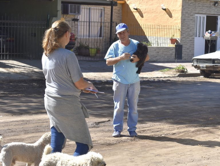 Campaña de vacunación y castración de mascotas en Barrio Don Bosco