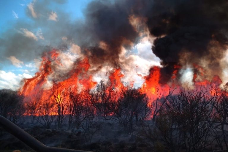 Tres millones de hectáreas en riesgo de incendios en La Pampa, Río Negro y Buenos Aires
