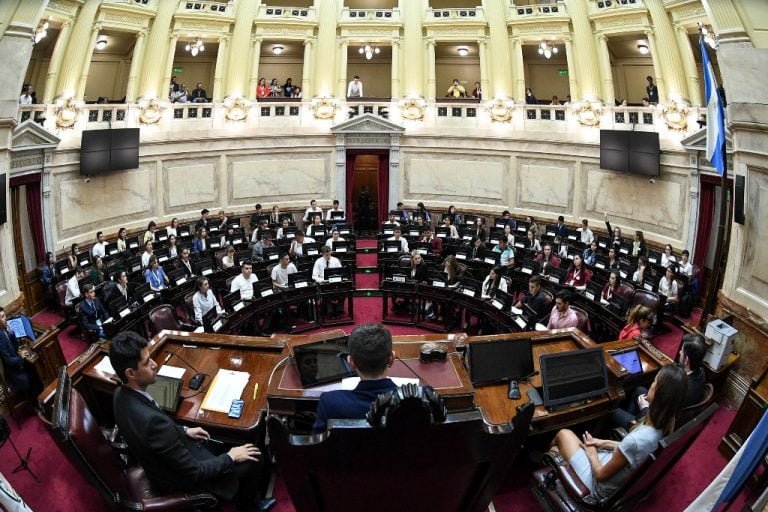 Estudiantes pampeanos fueron «Senadores por un Día»