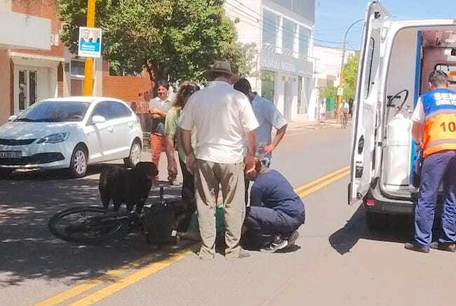 Un adulto mayor se accidentó y su perro lo custodió hasta que lo hospitalizaron