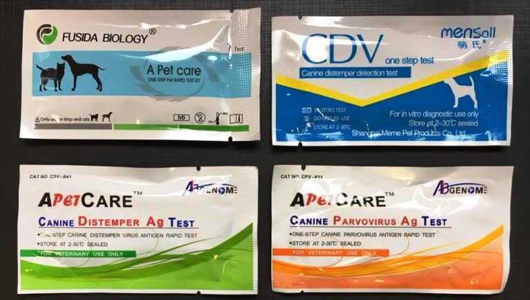 Prohíben la comercialización de cinco productos veterinarios utilizados para el diagnóstico de enfermedades caninas