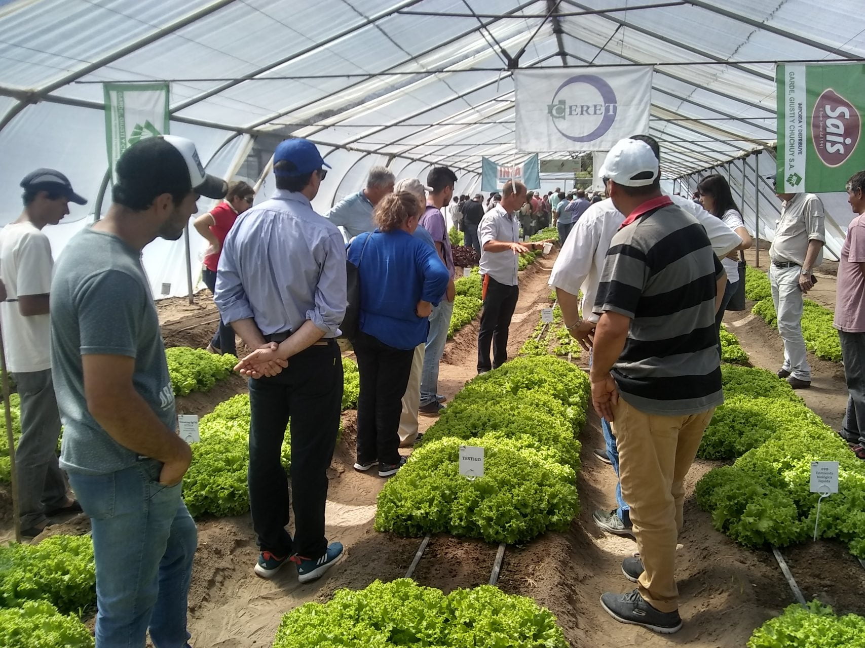 Jornada Anual Hortícola del Ceret – ProHuerta: Este año se comenzó con la producción de Hongos Comestibles