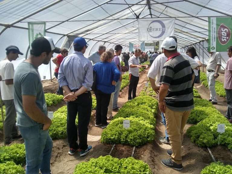 Llega la XXI Jornada Hortícola en el CERET