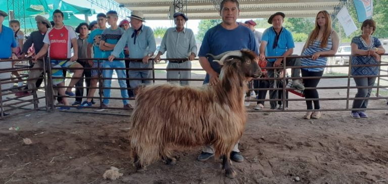 Con gran éxito se celebró la 27° Fiesta Provincial del Chivito en Santa Isabel