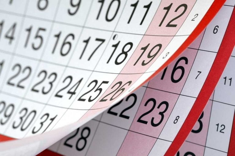 Traslado de días: Mirá los feriados que tendrá noviembre