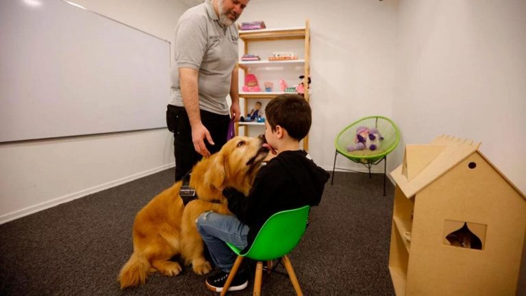 Él es Titán, el primer perro de terapia que asiste a niños que deben pasar por Cámara Gesell