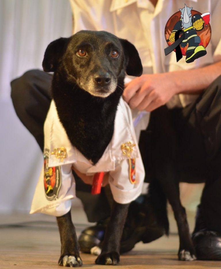 La emotiva despedida de Otis, el primer perro bombero de Villa Ballester