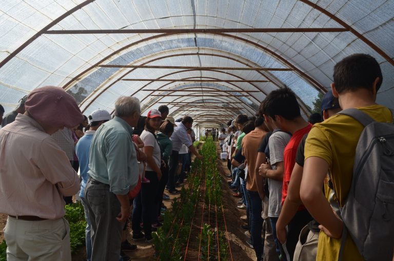 Gran muestra del CERET: Veinte años de fomento y desarrollo sustentable de la horticultura pampeana