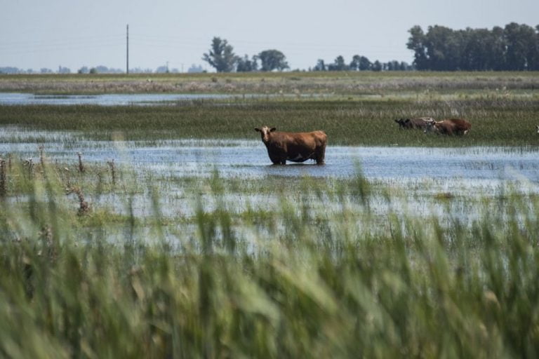 La Emergencia Agropecuaria en la Provincia se extenderá hasta el 30 de septiembre