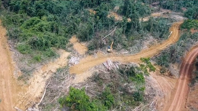 El lado oscuro de las inversiones chinas: Desastre ecológico y explotación laboral