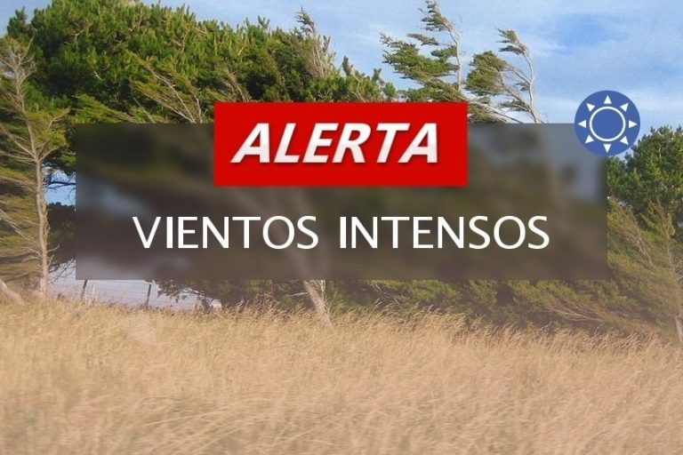 La Pampa en alerta por «vientos intensos con ráfagas»