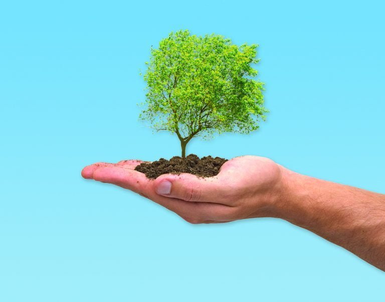 Consejeros estudiantiles proponen plantar un árbol por cada graduado de la Universidad Nacional de La Pampa