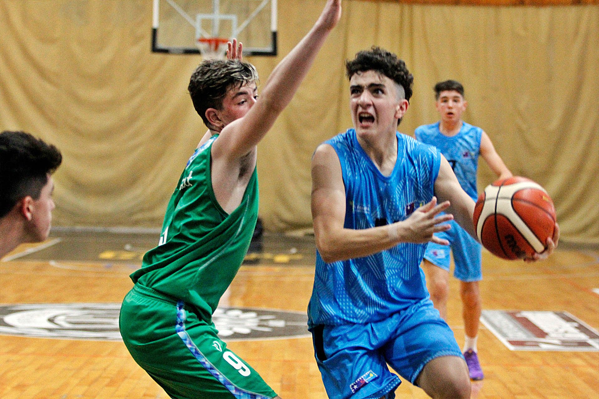 Primer día de competencias en los Juegos de la Araucanía 2019: Mirá todos los resultados de hoy
