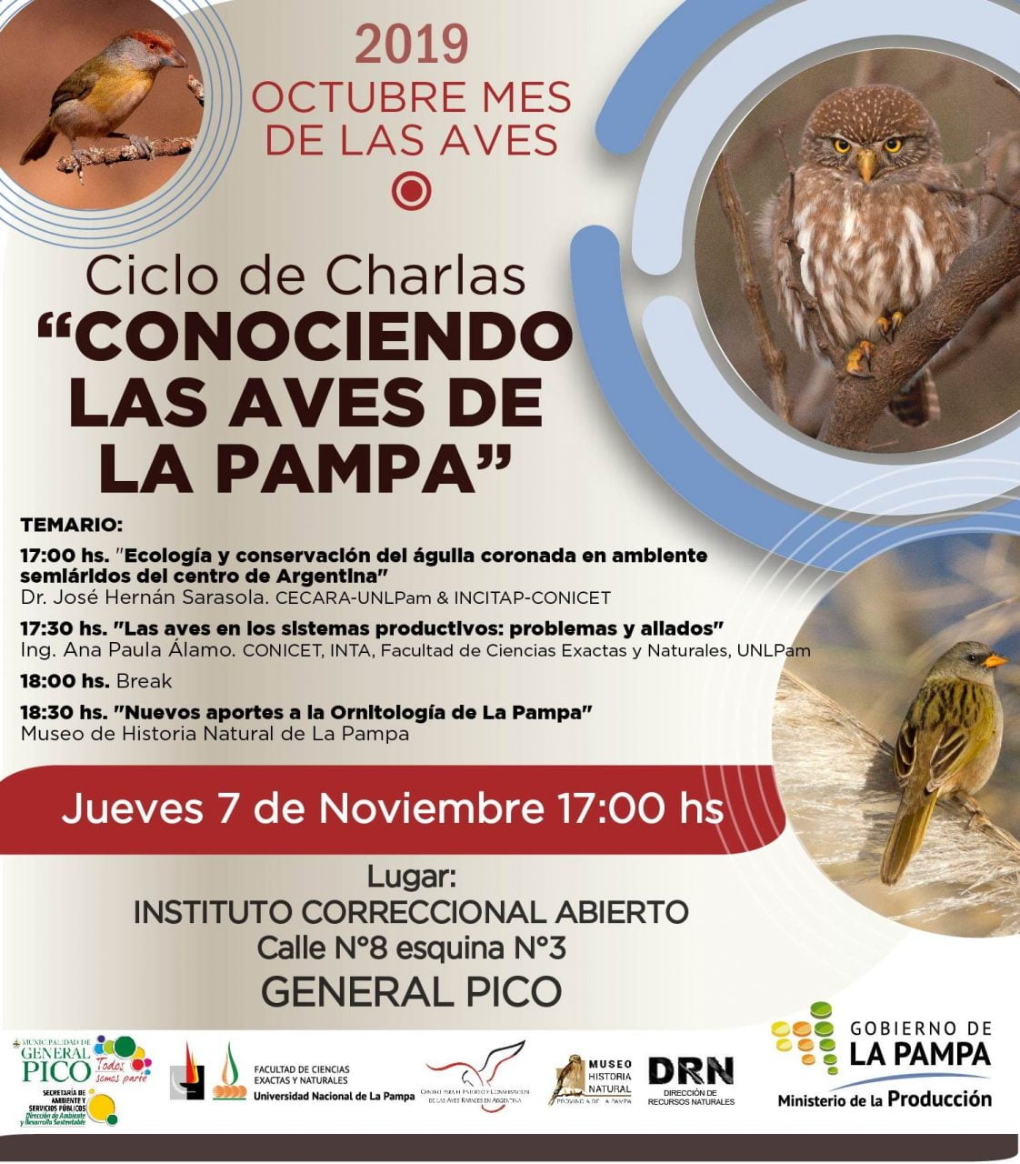 Dictarán el ciclo de charlas “Conociendo las aves de La Pampa”