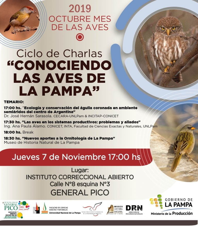 Dictarán el ciclo de charlas “Conociendo las aves de La Pampa”