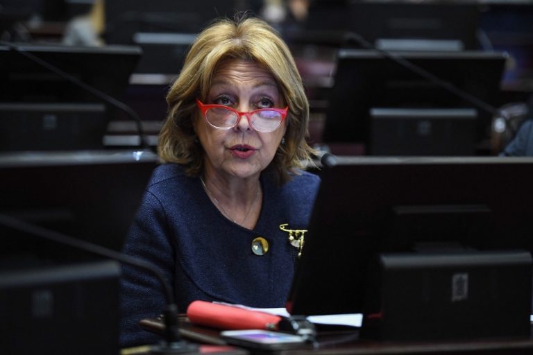 Desde la Comisión Banca de la Mujer del Senado repudiaron la violencia machista y se solidarizaron con las mujeres que fueron abusadas