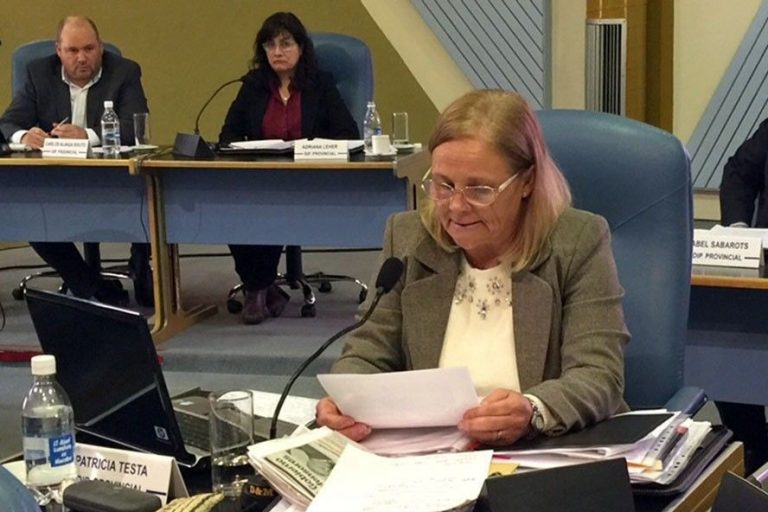 Legisladoras del PRO apoyaron a Patricia Testa y rechazaron la misoginia en el ámbito político