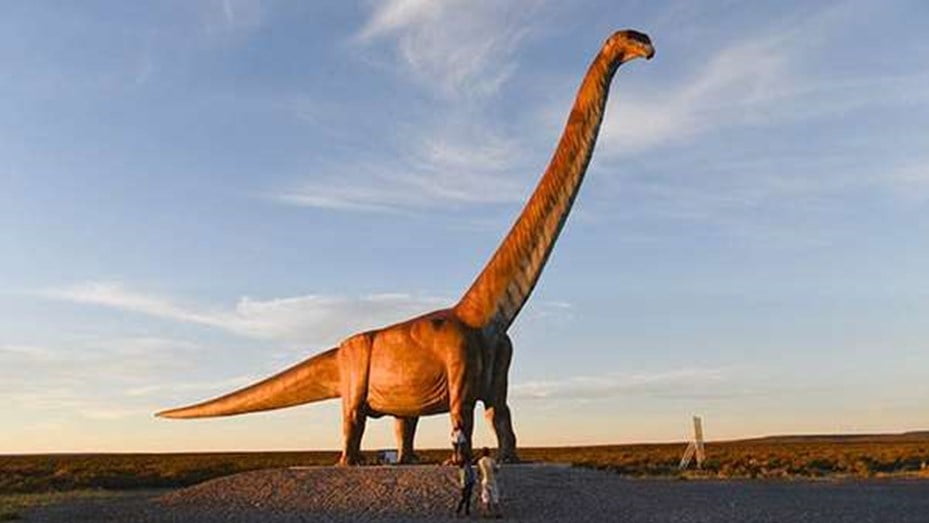 Hallan restos fósiles de un Titanosaurio en Neuquén: cada vértebra pesaba 200 kilos