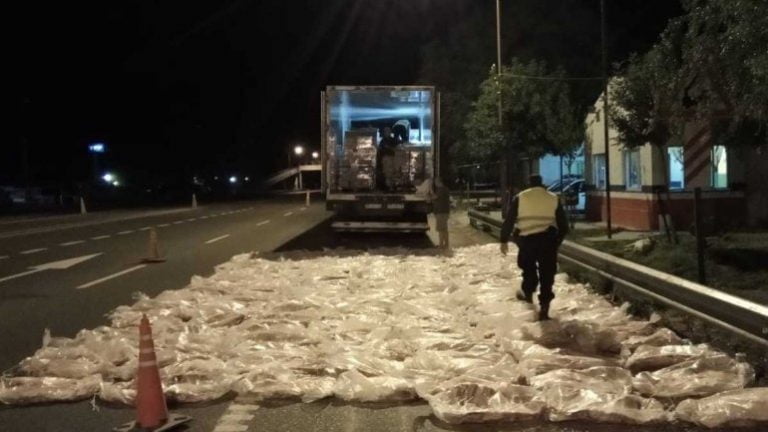 La Policía de Río Negro secuestró más de 150 costillares que se dirigían desde La Pampa hacia Neuquén