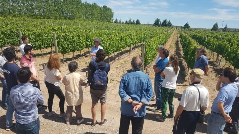 Festejos por el Aniversario y gran Fiesta del Vino Joven en Casa de Piedra