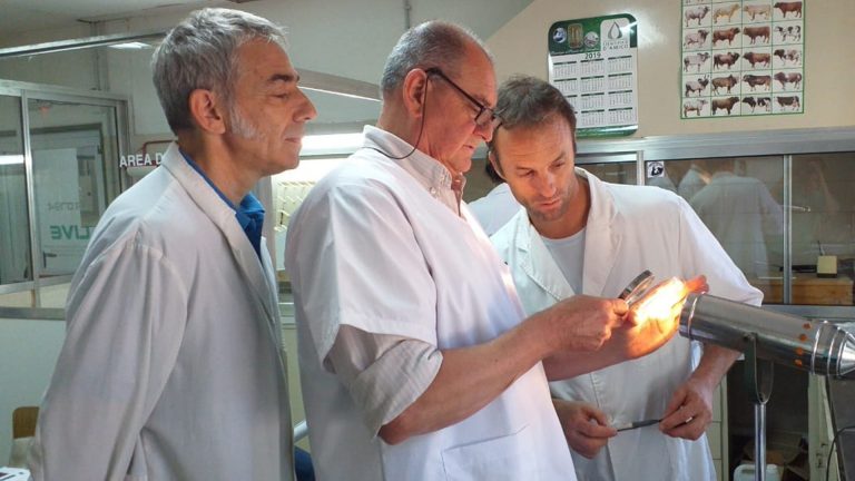 Dictaron importante capacitación sobre brucelosis en el laboratorio de la Facultad de Veterinarias de General Pico