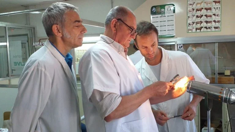 Dictaron importante capacitación sobre brucelosis en el laboratorio de la Facultad de Veterinarias de General Pico
