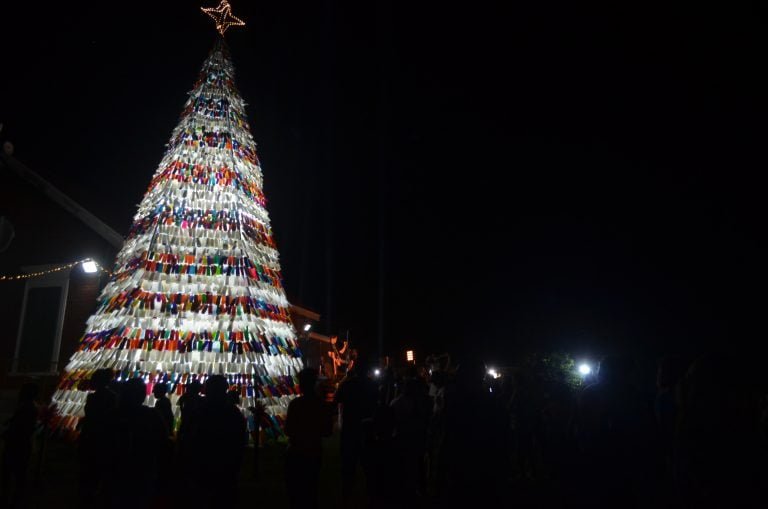 Anoche quedó inaugurado el Eco Árbol Navideño en calle 40 esquina 5
