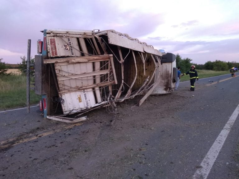 Choque y vuelco de un camión cargado con  hacienda  en cercanías de Winifreda