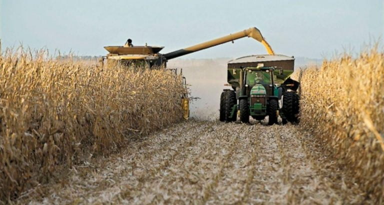 Paro del Campo: “La idea siempre es producir, pero a veces uno para poder seguir adelante produce menos” remarcó el productor rural, Moreno