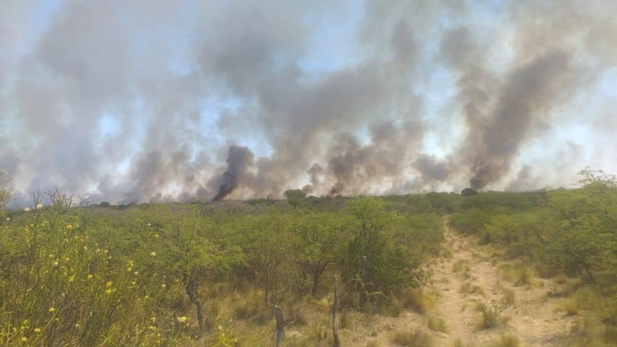 Tras la quema de más de 45 mil hectáreas, ya no quedan incendios activos en La Pampa