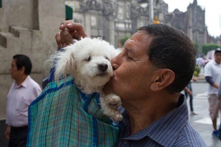 Su perro lo lamió en la cara y murió de una infección causada por una bacteria