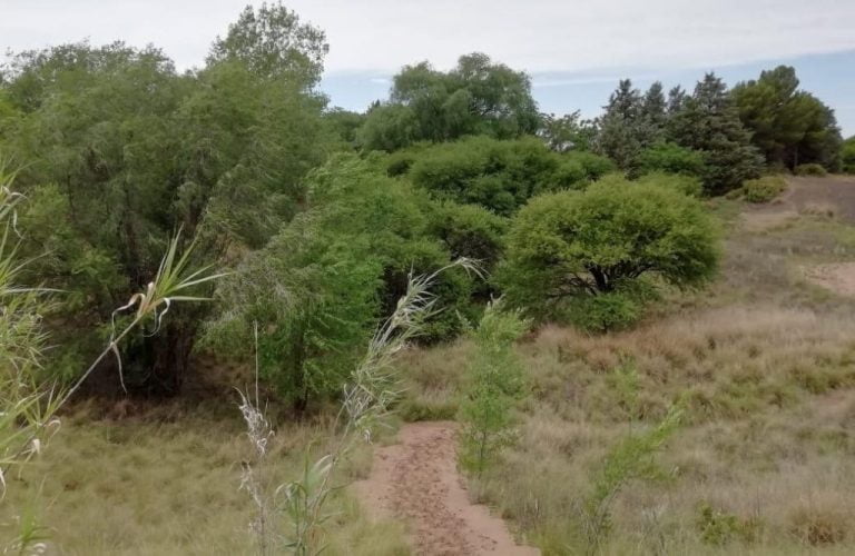 A partir de hoy, La Pampa tendrá un nuevo espacio verde para disfrutar en familia
