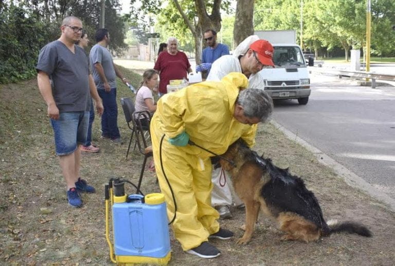 2.800 animales vacunados dejó la campaña antirrábica y contra la garrapata