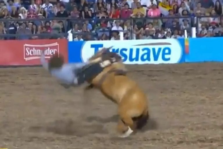 Festival de Jesús María: un jinete está internado en grave estado tras caer del caballo