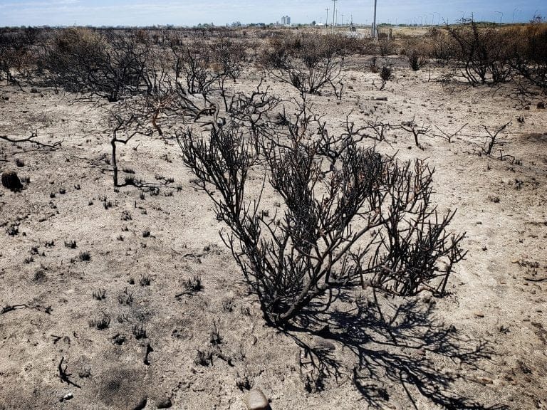 Un hidrante de La Pampa colaboró en las labores de control tras los incendios en Las Grutas