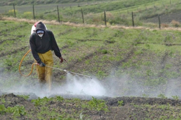 Prohibición de la venta de agroquímicos: ¿Defensa del medio ambiente o desidia gubernamental?