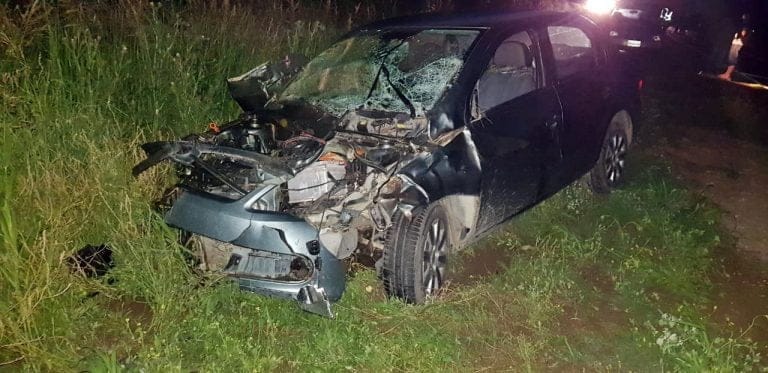 A 5 km de General Pico: Un auto chocó contra dos animales en la ruta
