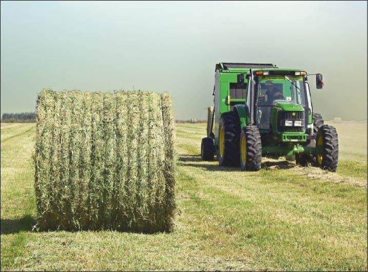 Se viene la cuarta edición del concurso de Calidad de Heno de Alfalfa 2020