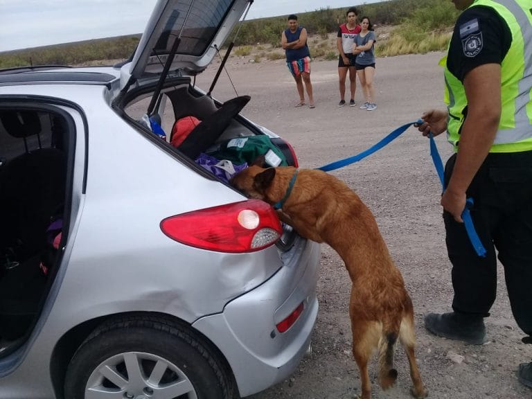 “Operativo Vida”: Se realizaron controles en el oeste pampeano